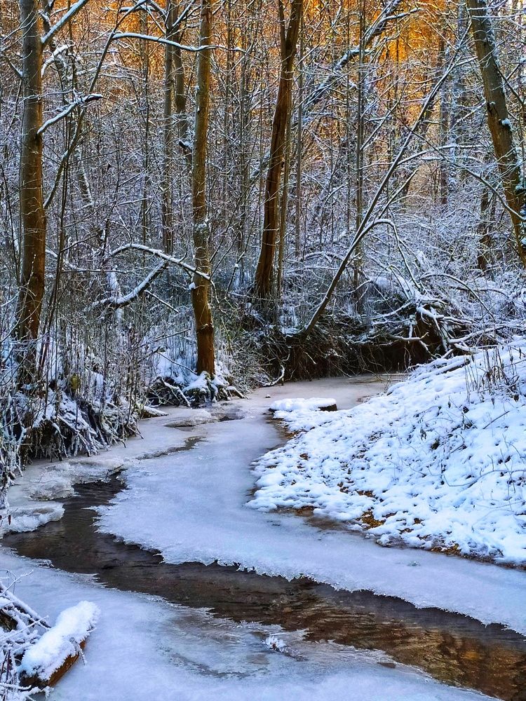 На пороге весны