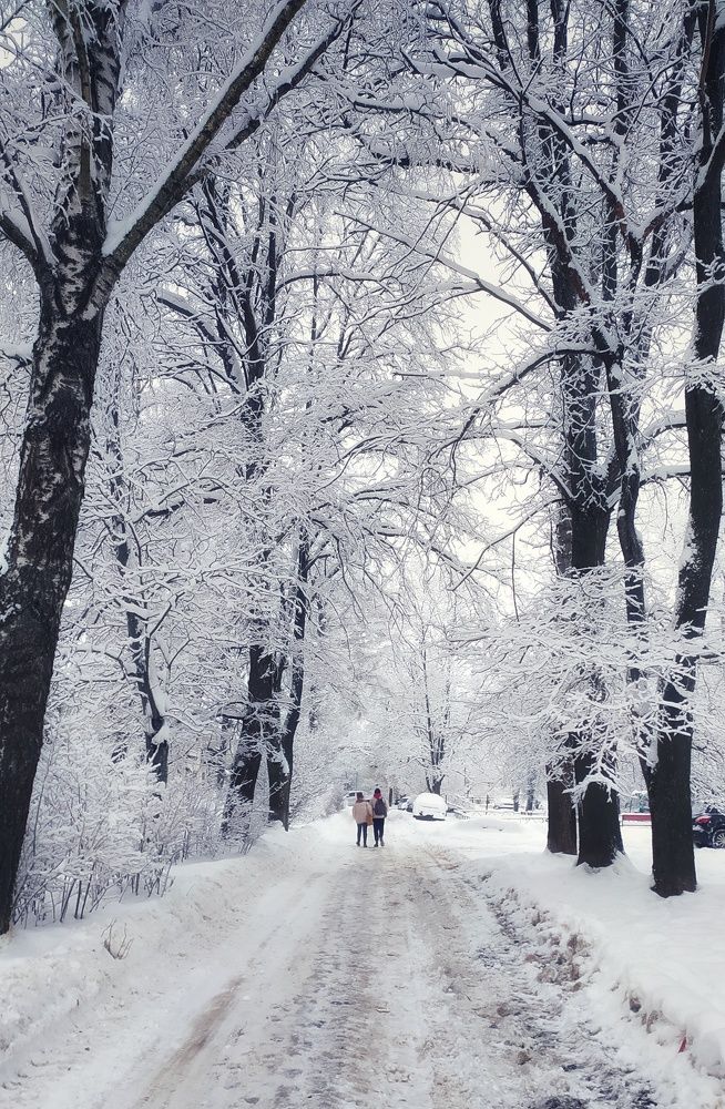 Photograph by Татьяна Григорьева