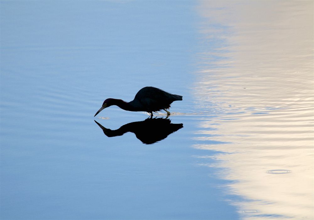 Photograph by Jonathan Lavan