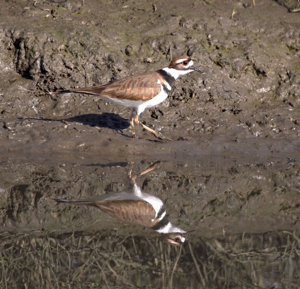 Photograph by Jonathan Lavan