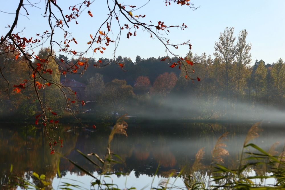 Photograph by Елена Ивкина