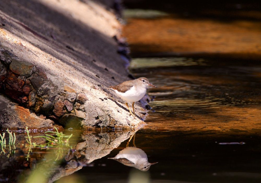 Photograph by Jonathan Lavan