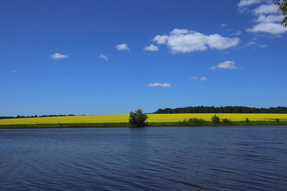 Photograph by Елена Ивкина