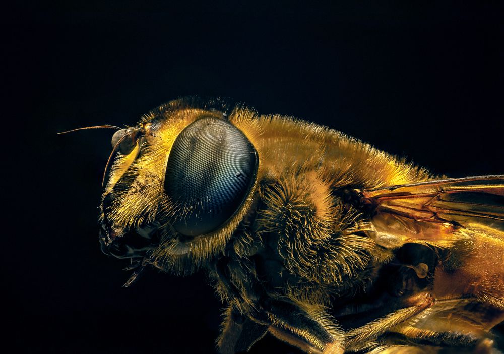 Photograph by Михаил Курихин