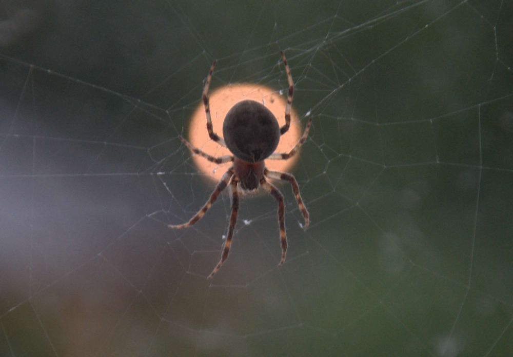 Photograph by Jonathan Lavan