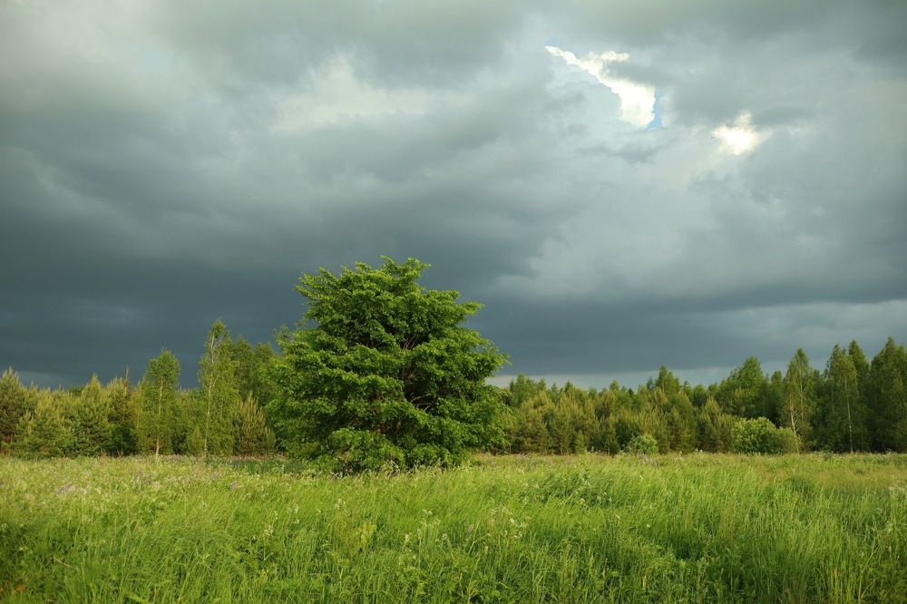 Photograph by Елена Ивкина