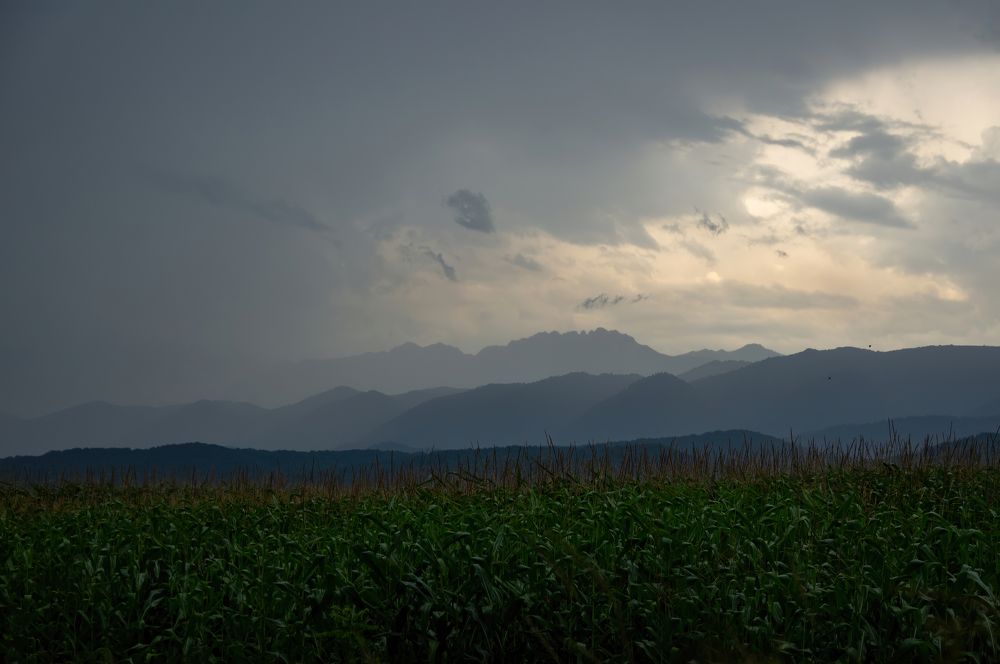 Фотография автора Ольга