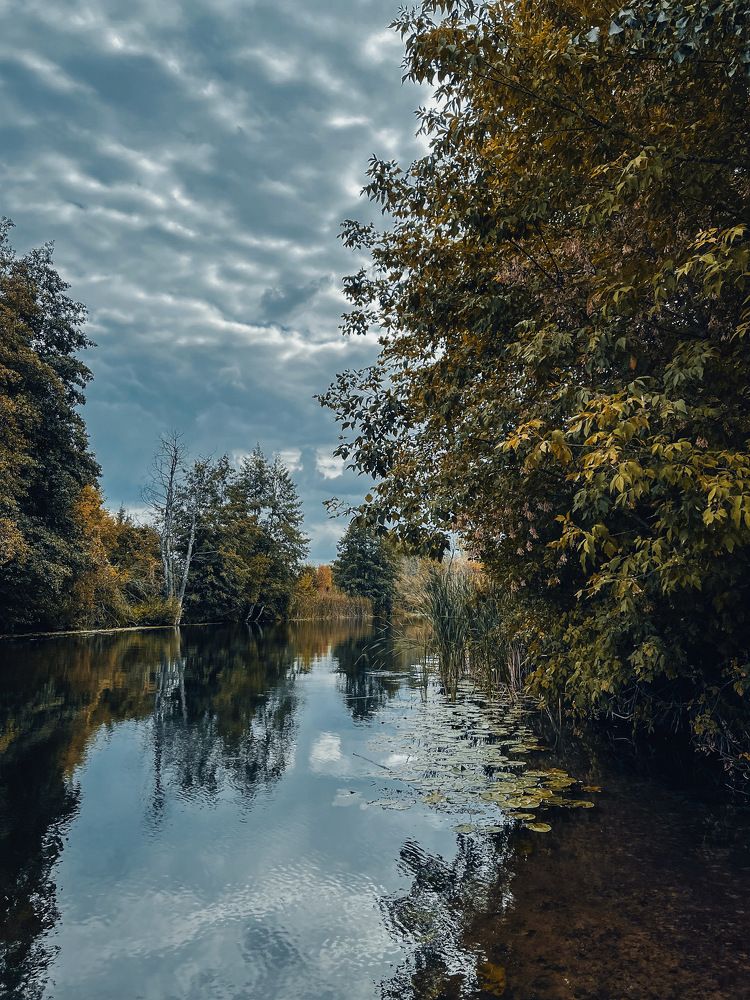 Photograph by Виктория Селютина