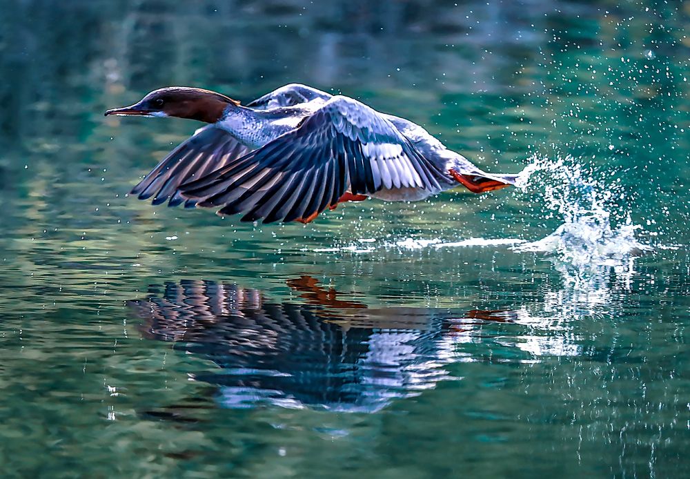 Photograph by Наталья Копылова