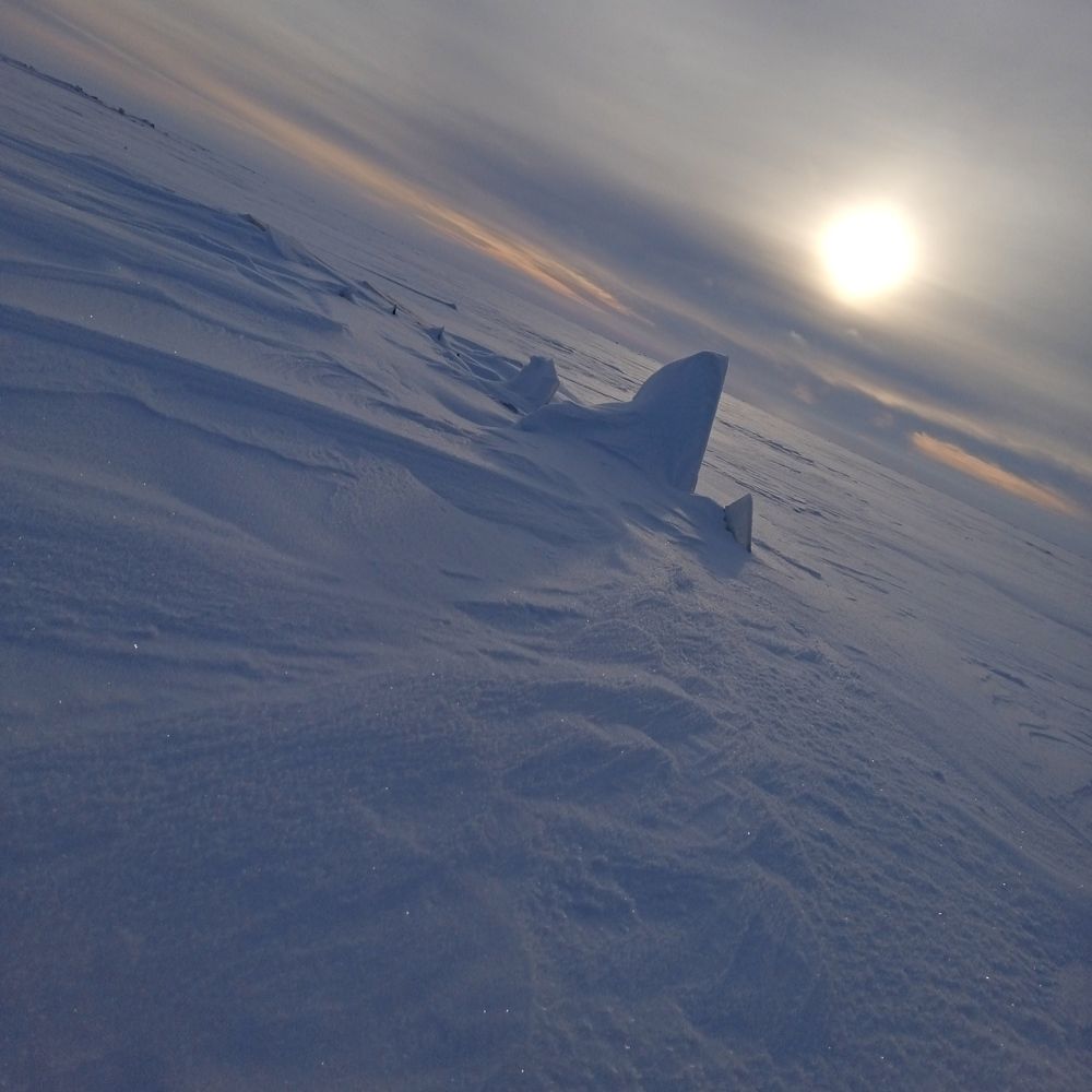 Photo #7019953