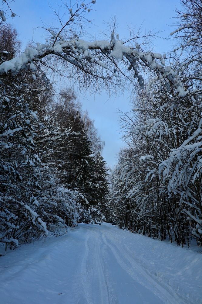 Photograph by Елена Ивкина