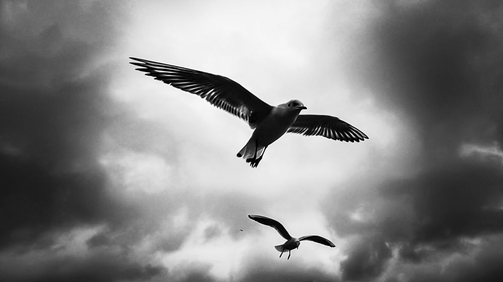 Photograph by Луценко Роман