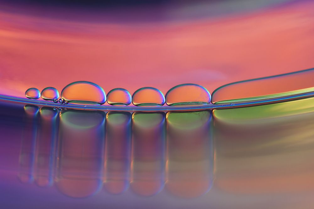 Photograph by Mirjana Spajić Buturac