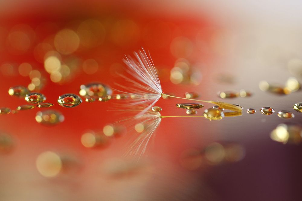 Photograph by Mirjana Spajić Buturac