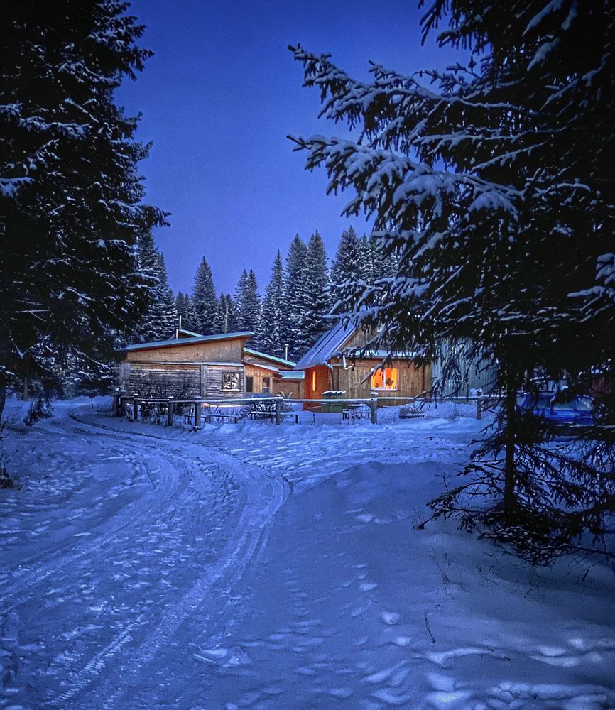 Домик в лесу