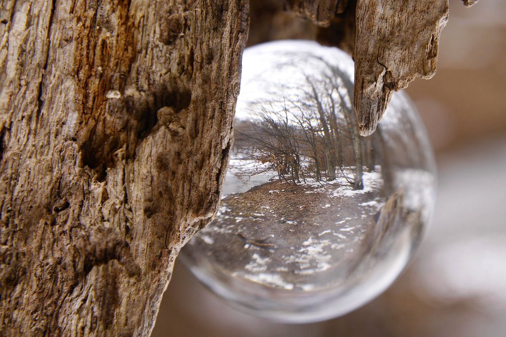 Photograph by Mirjana Spajić Buturac