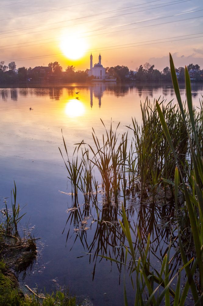 Photograph by Elvira Maksimova