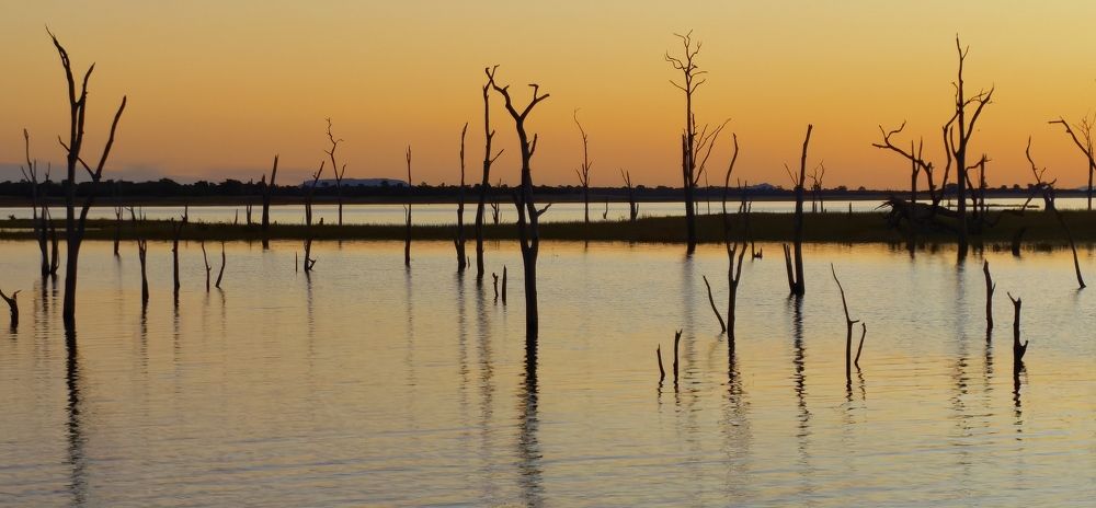 Photograph by Lynda Charles