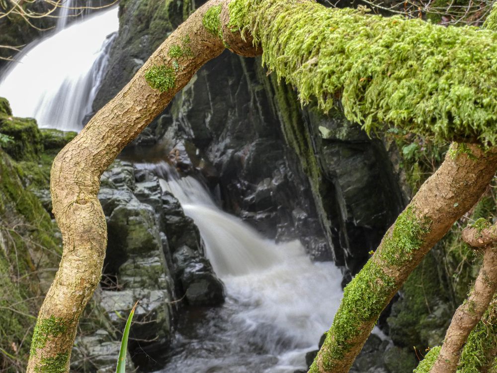 Scotland's Waterfalls in nature