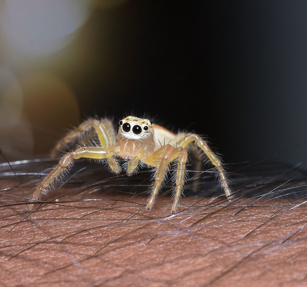 Photograph by Roshan Dhotre