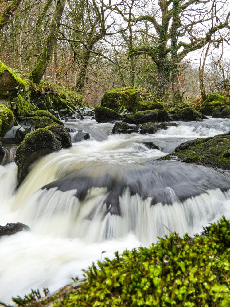 Фотография автора Michael Gault