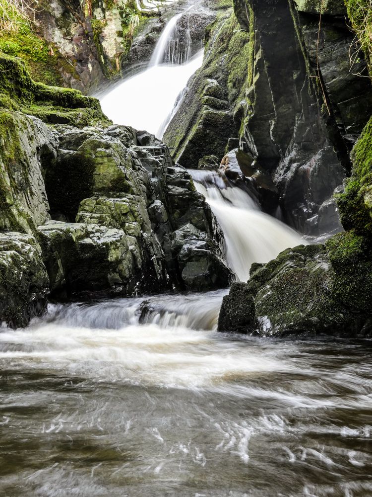 Фотография автора Michael Gault