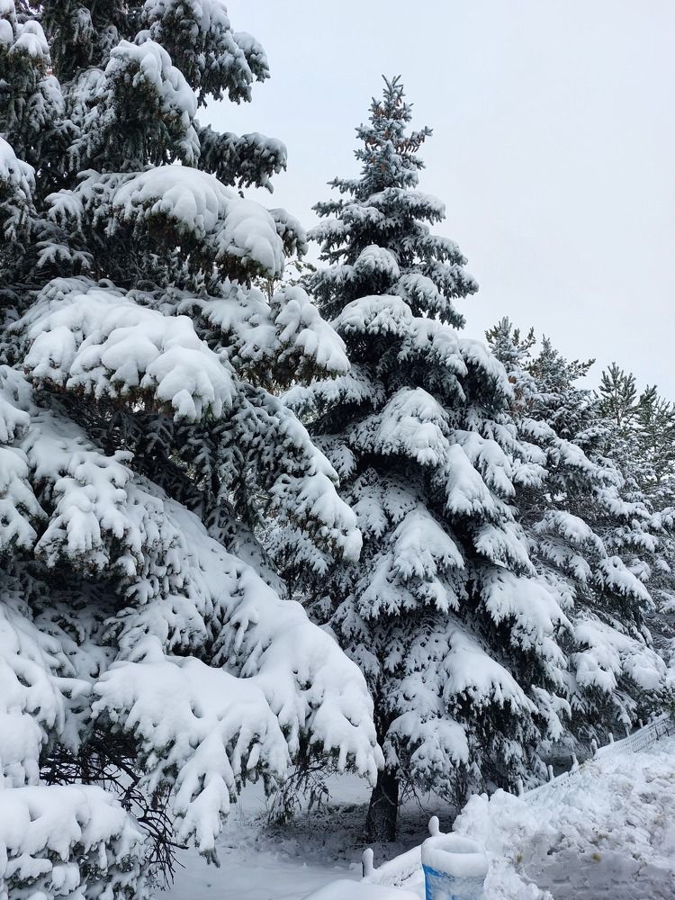 Photograph by Анастасия Койчина