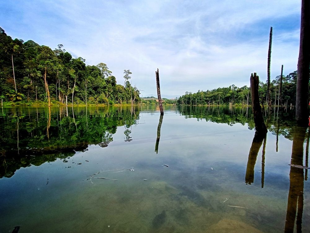 Photograph by HASRI BIN SAIDE