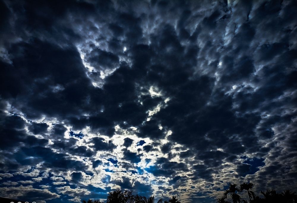 Photo #7020319