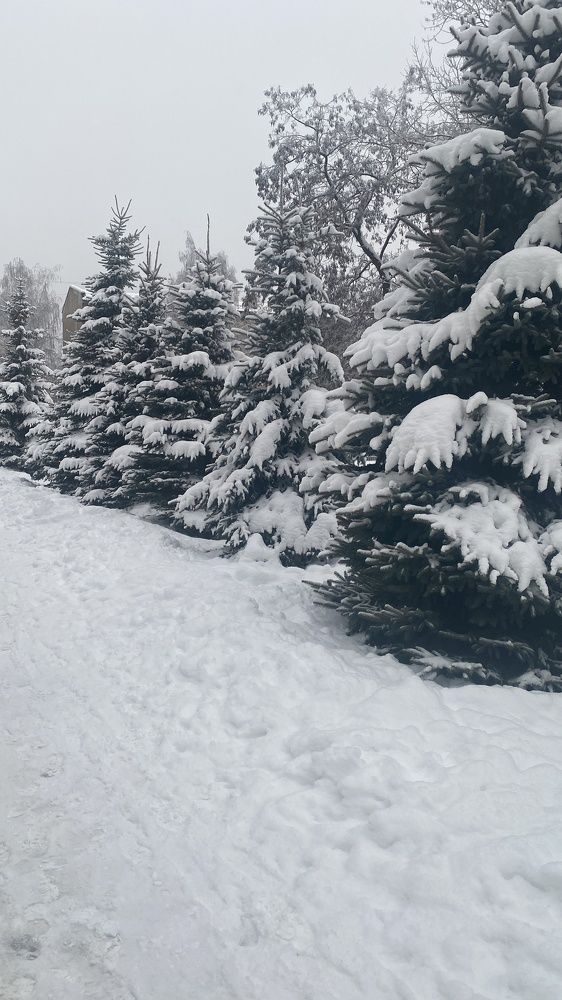 Photograph by Юрий