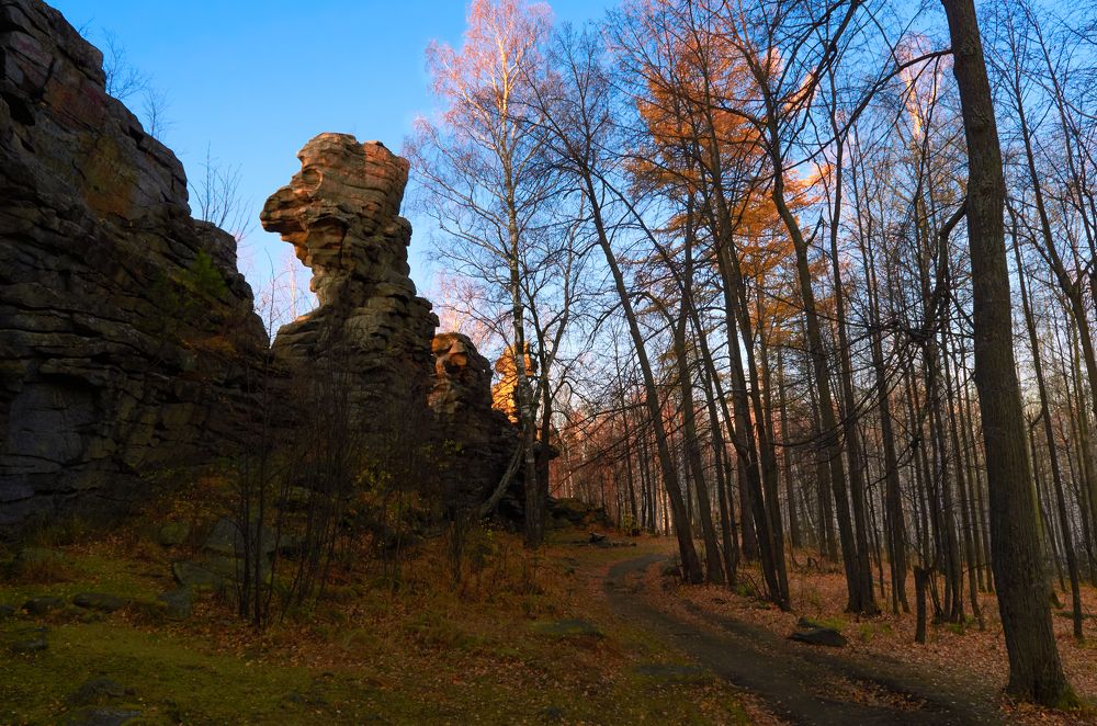 Утро красит нежным цветом...