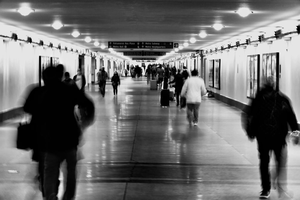 Photograph by Stephanie E’amato