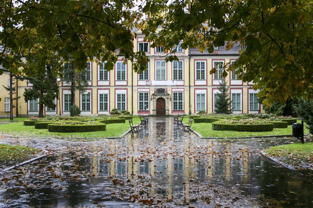 Colorful reflection of a rainy day