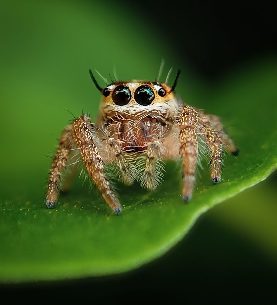 Photograph by Ashik R S Mohammed