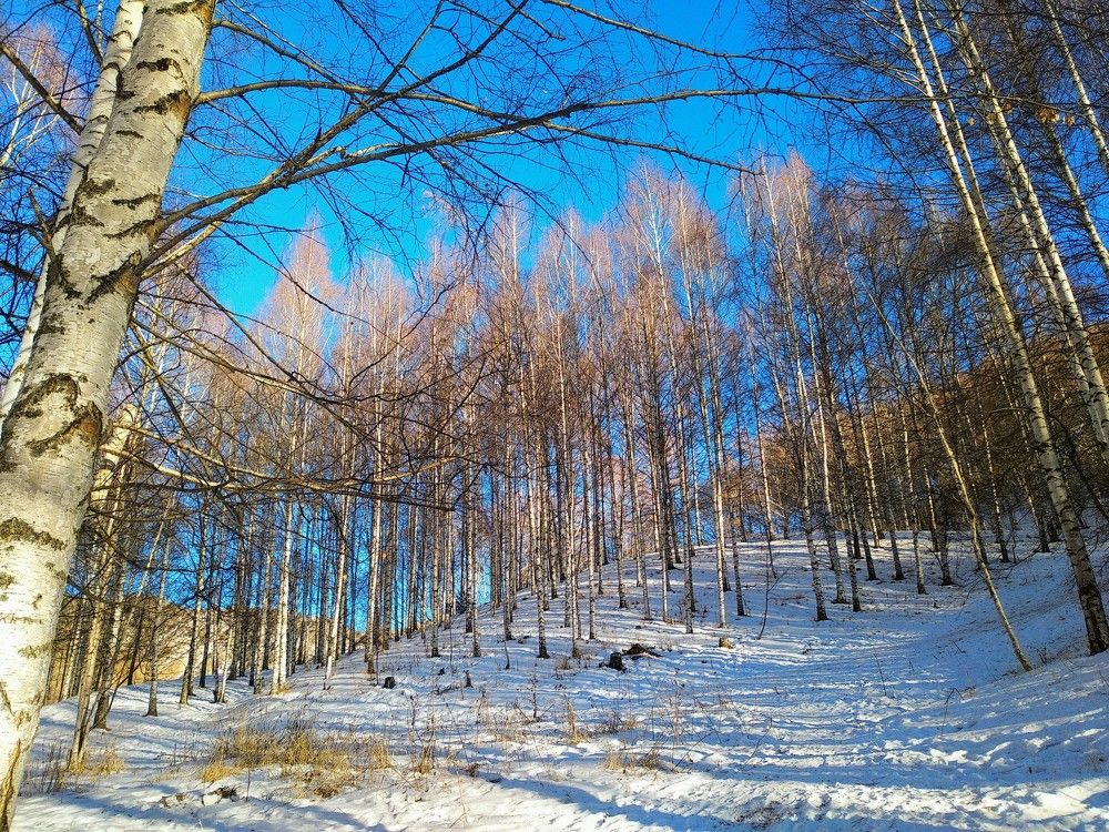 Photograph by Наиля Омарова