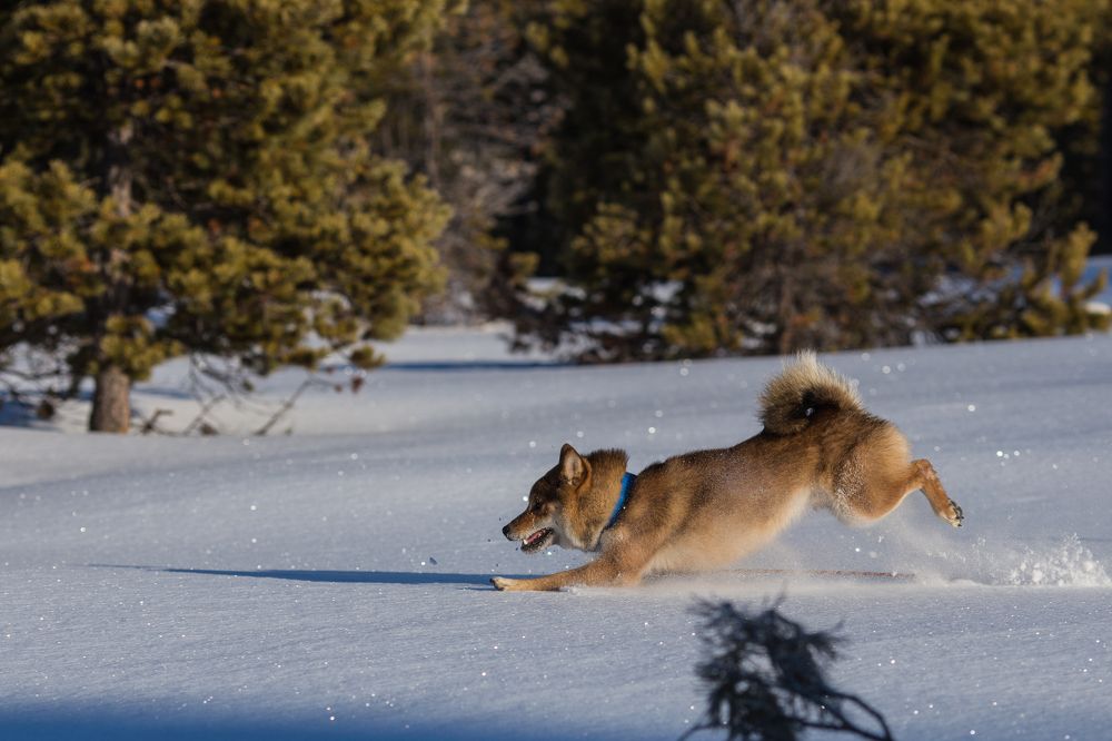 Лечууу, нет сколзюю