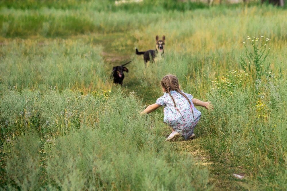 Photograph by Дмитрий Тимин