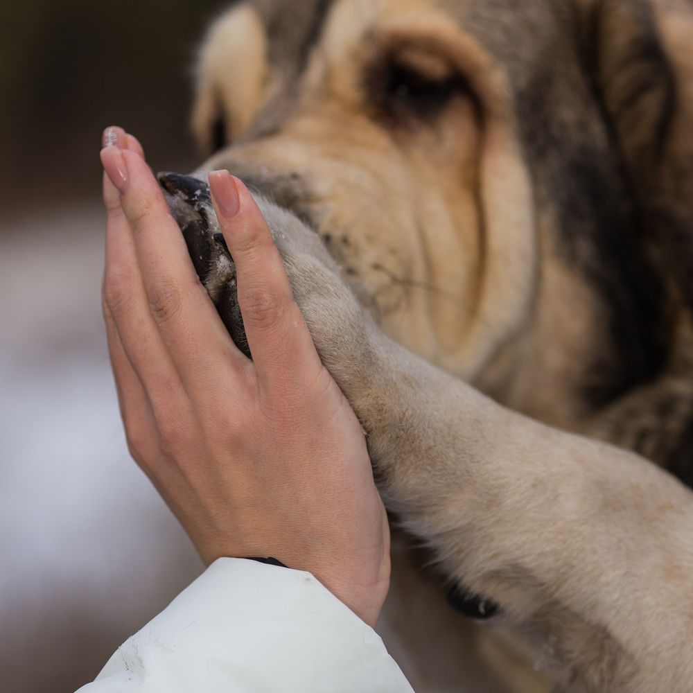 Дай пятюню, Друг