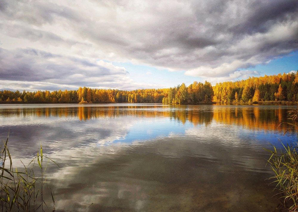 Photograph by Наталья Баруля