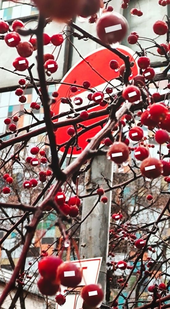 Photograph by Эдуард Саитгалеев