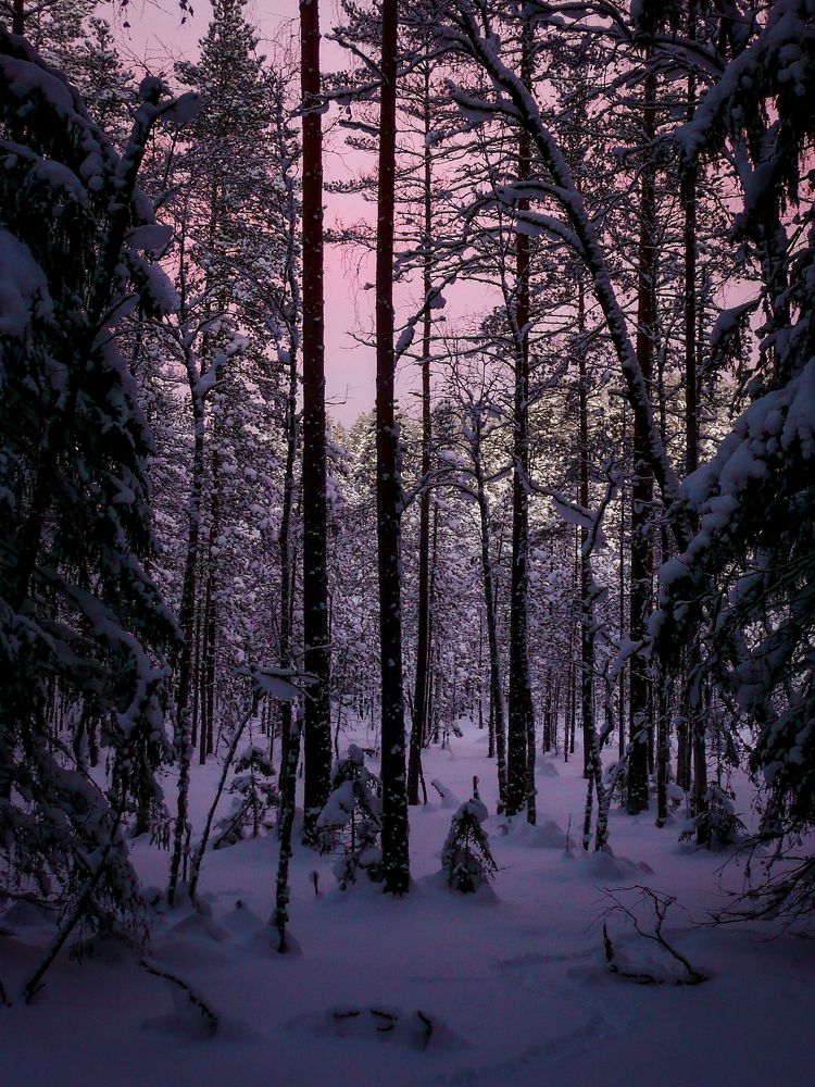 Photograph by Ubare Kelle