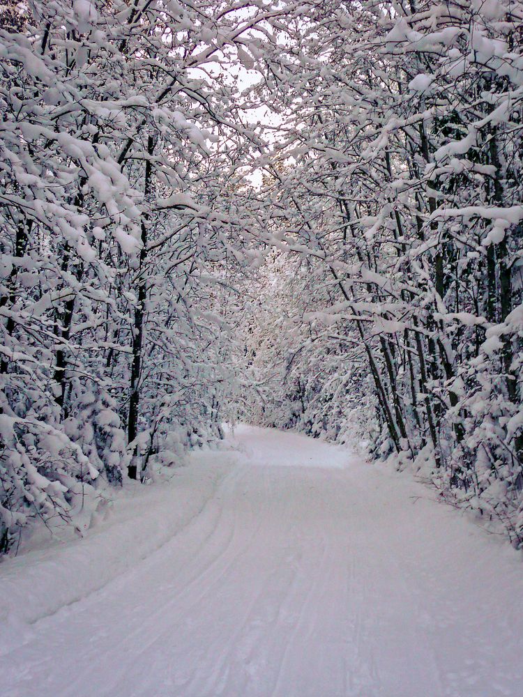 Photograph by Ubare Kelle