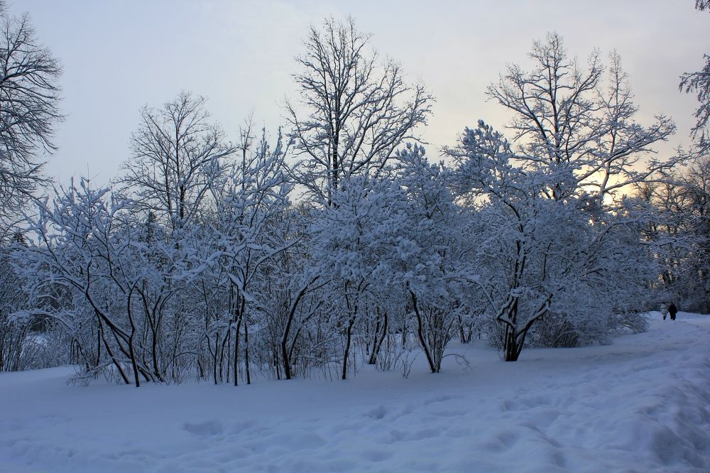 Photograph by Olga Bagaeva