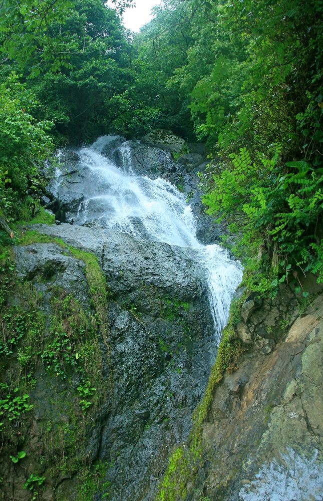 Photograph by Евгений Медведев