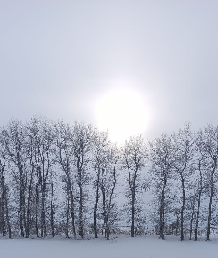 Photograph by Сергей Ефименко