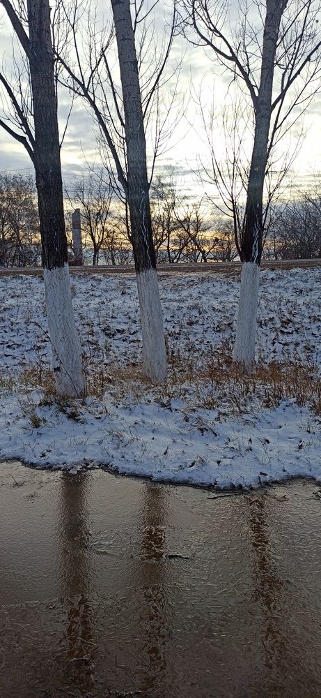 Photograph by Сергей Ефименко