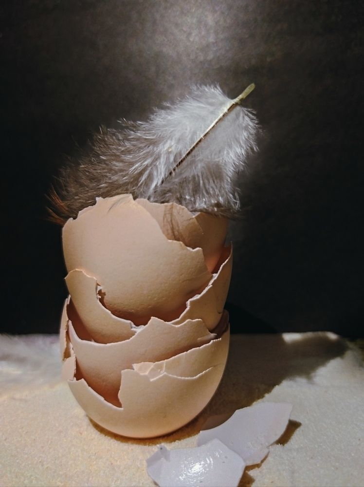 Photograph by Larisa