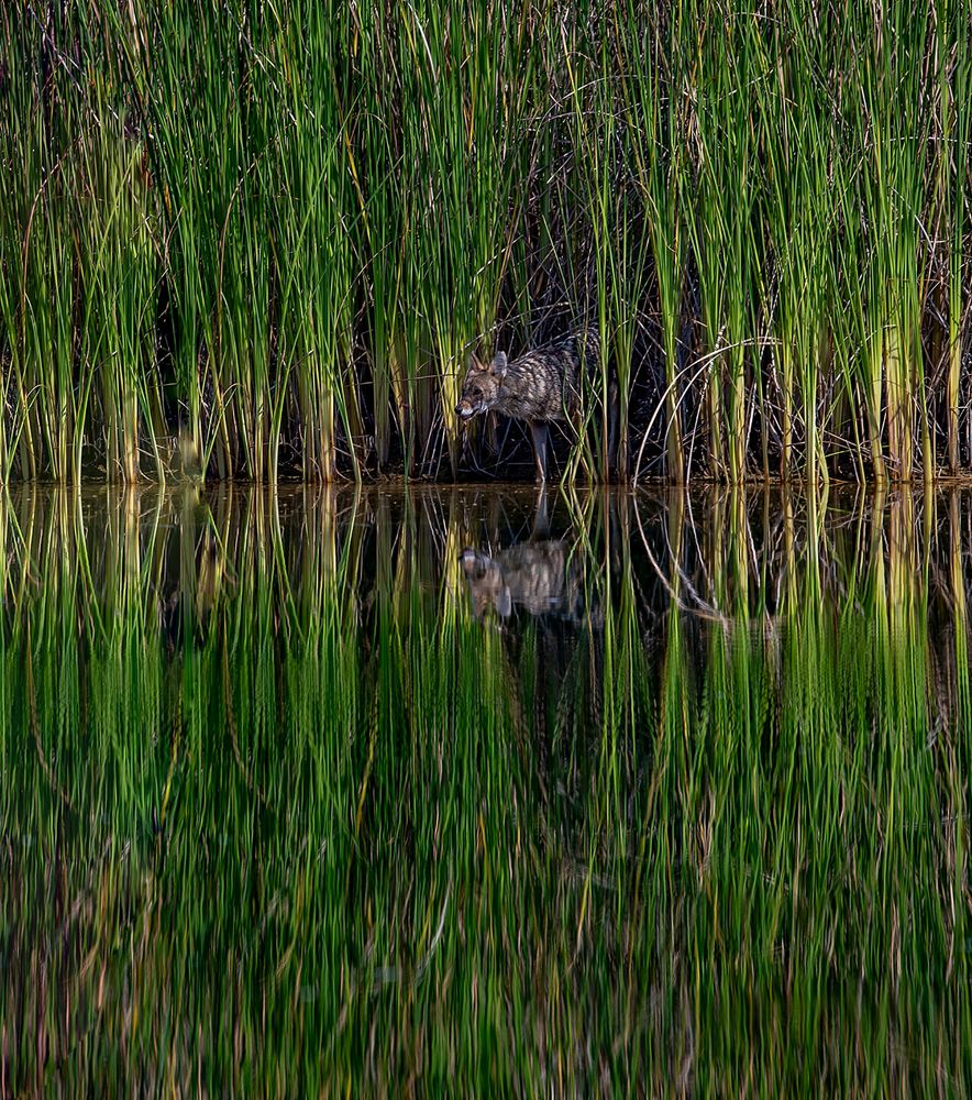 Photograph by Vladimir Sarichev