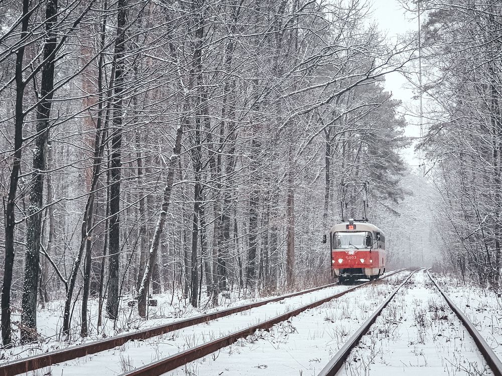 Photograph by Liudmila Kirillova