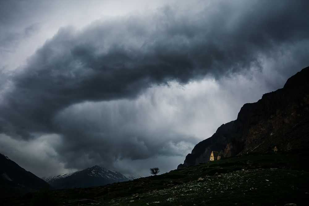 Photograph by Alla Fedina